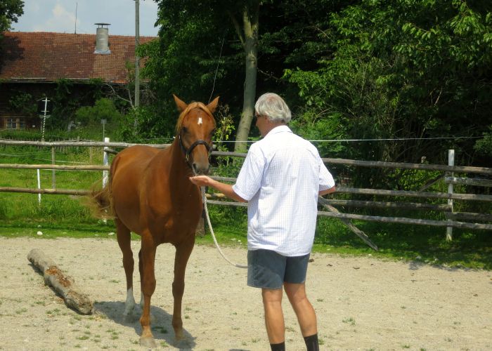 Nach den Übungsstunden hat sich Dhakir eine Belohnung redlich verdient.