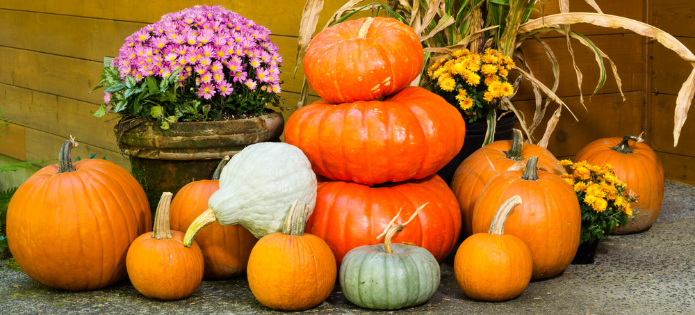 Tölzer Herbstzauber