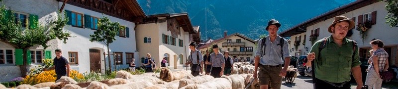 Oberland Wolfratshausen