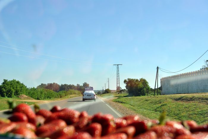 Unterwegs von Tétouan nach Rabat.