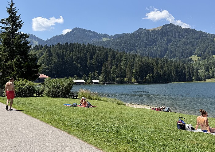 Spitzingsee mit Liegewiese und Bergen im Sommer