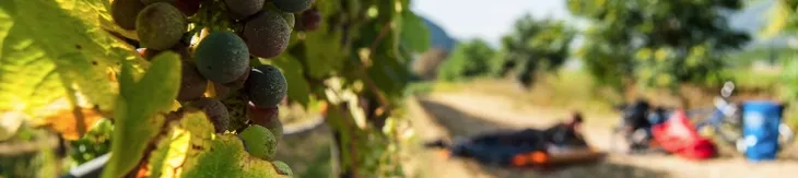Bad Bayersoien im Oberland nach Venedig